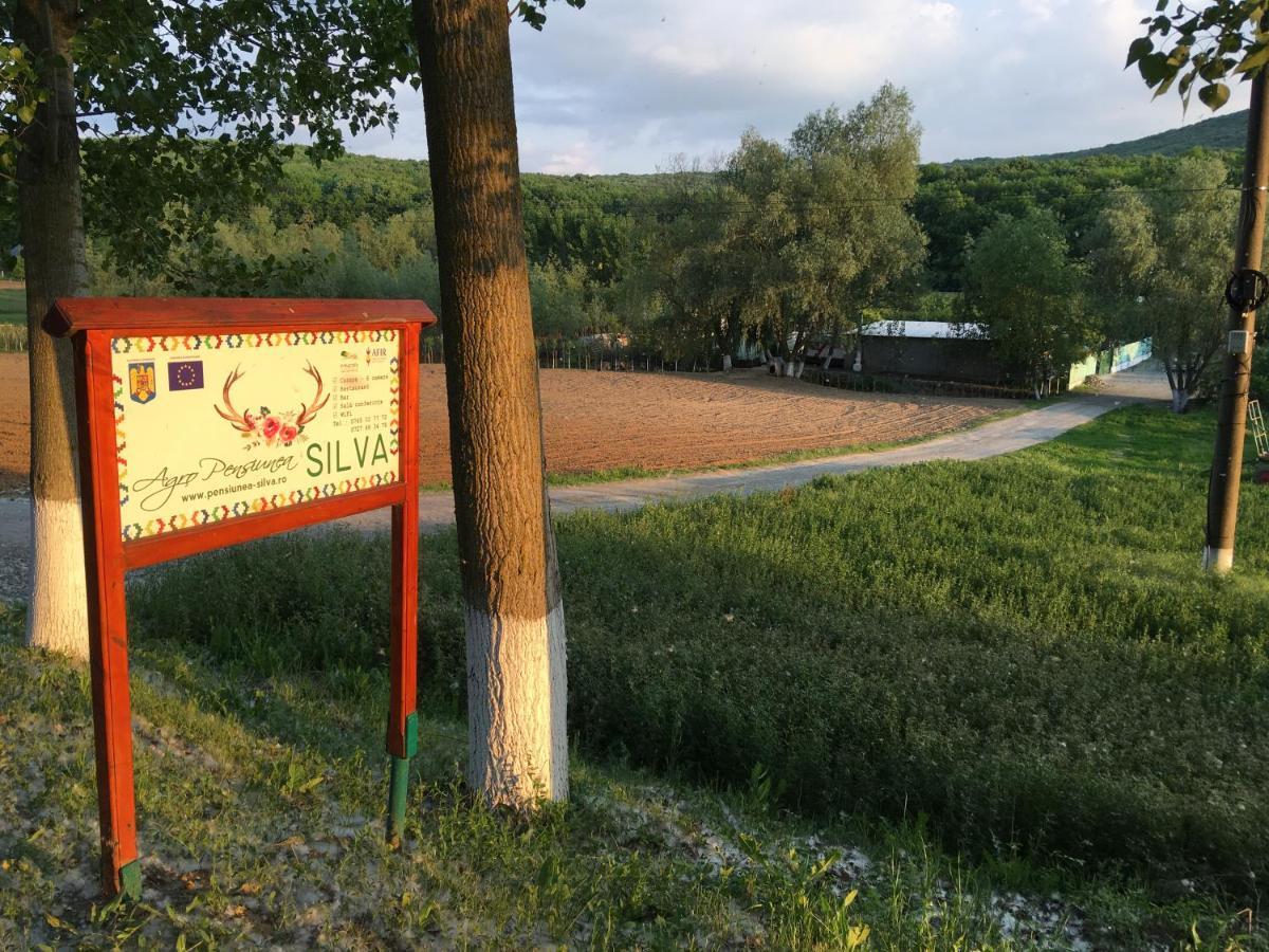 Pensiunea Silva Luncavita Kültér fotó